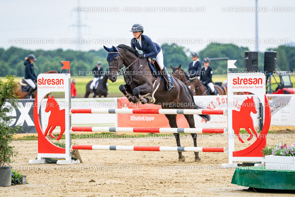 DSC06141 | Pferdegrafie