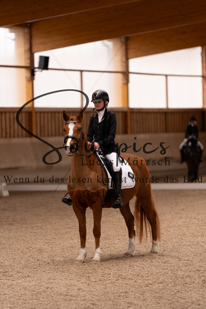 A7506956 | Turnier/Reitfotograf