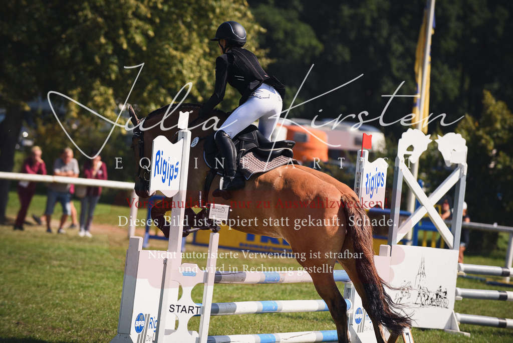 DSC_9247 | Pferde- und Turnierfotografie in Westsachsen. Pferdeportraits, Auftragszeichnungen und intuitive Kunst.