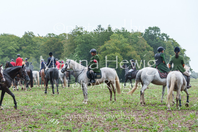 Jagd Perdoel 26 Sony-03565_MarinaHewig | Fotografie, FotoArt, PferdesportArt, Pferdesportfotografie, Landschaftsfotografie, Reisefotografie, Reise, Pferde - Realisiert mit Pictrs.com