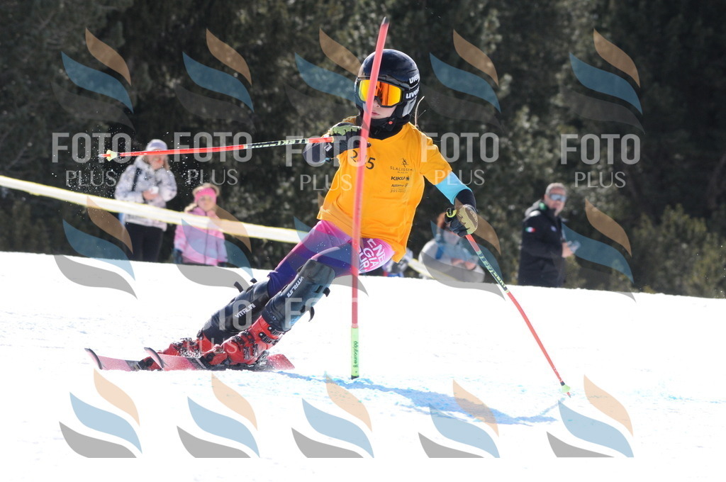 C8828 | holidayphoto