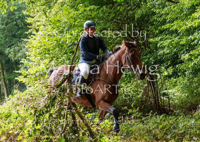 Jagd Knoop 26_MarinaHewigMCH02425 | Fotografie, FotoArt, PferdesportArt, Pferdesportfotografie, Landschaftsfotografie, Reisefotografie, Reise, Pferde - Realisiert mit Pictrs.com