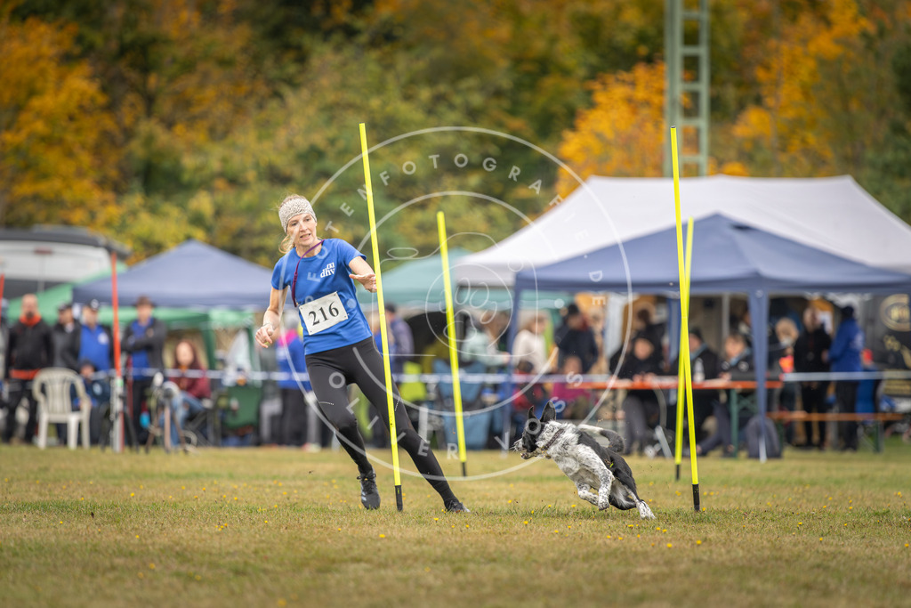 Pfotenfotografie_DV3A3508 | Hundefotografie, Tierfotograf, Pfotenfotografie, Fotoshooting Hund, Hunde Portrait, Hundesport, Hundeportraits, Heideshooting, Hunde, Sportfotograf, Hundefotograf, Turnierhundsport, THS,  - Realisiert mit Pictrs.com