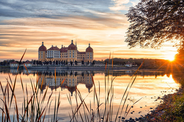 schloss_moritzburg | Fotografie Photography Dresden Photoshooting  Fotoshooting Fotografin Dresdencity Bilder  Foto Dresdenvideos Kalender Postkarten Bilderdownload Portrait Hochzeitsfotografie Familienfotos Bewerbungsbilder Studiofotografie Fotograf Dresdenbilder Business - Realisiert mit Pictrs.com