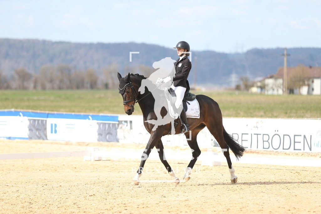 AS8V1718 | Willkommen bei Brunnmayr - Design & Fotografie – Ihrem Spezialisten für Reitturniere und Pferdeveranstaltungen in Oberösterreich, Salzburg und Bayern! Seit über 17 Jahren sind wir leidenschaftlich dabei.