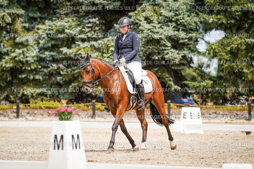 DSC03826 | Pferdegrafie