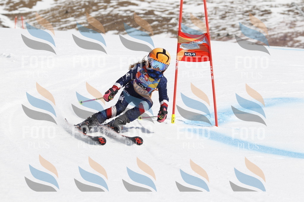 _U3G1226 | holidayphoto