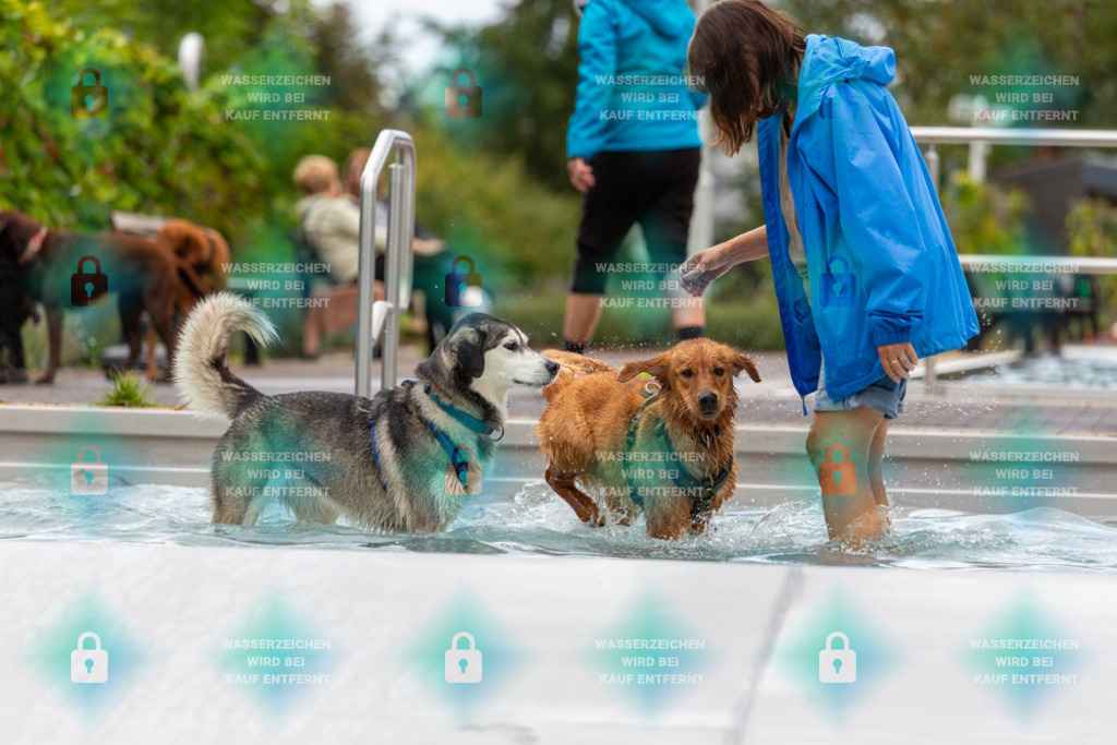 _HP_6247_1000o | HetPix, HetPix Fotodesign, Fotografie, Fotodesign, Webshop, Sportfotografie, Portraitfotografie, Onlineshop, Sportfotografie, Polch, Motorsportfotografie, Eventfotografie