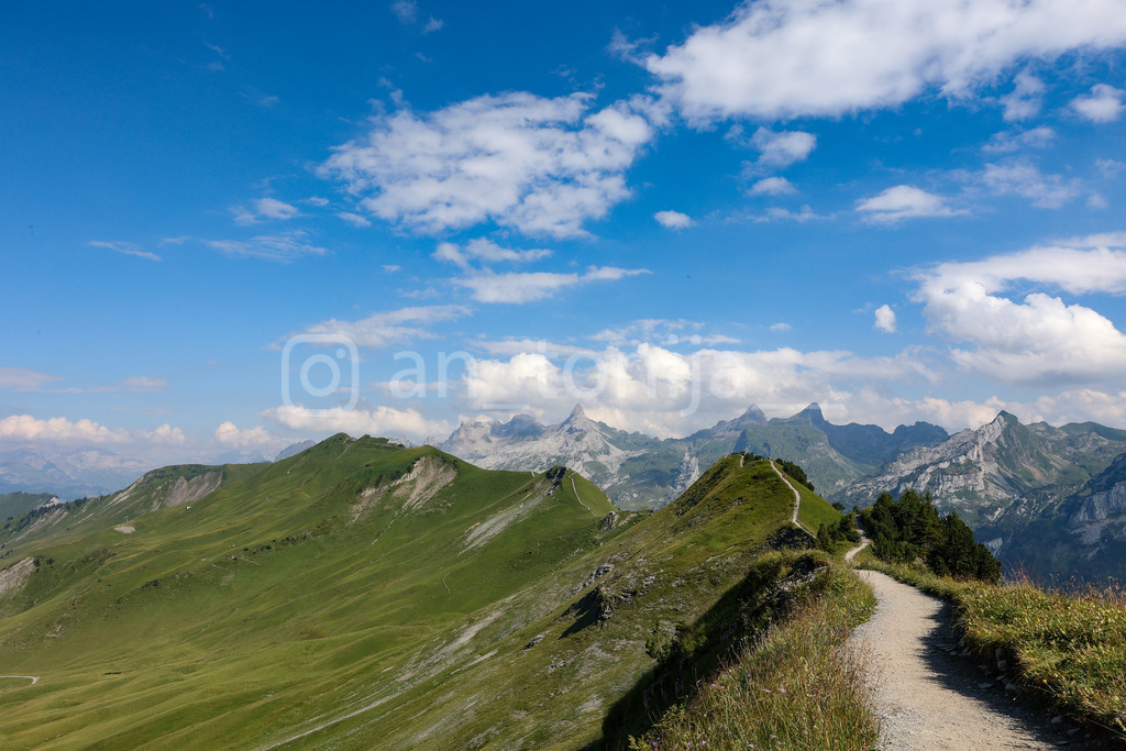 A.Trupina-27 | antonija-trupina - Realisiert mit Pictrs.com