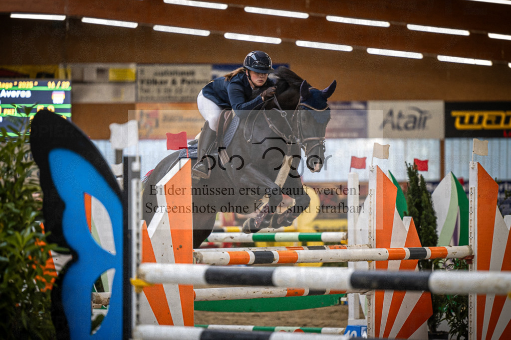DOS_0972 | Entdecke hochwertige Reitturnierfotos von Foto Oger. Professionell, emotional und authentisch – jetzt Lieblingsmomente im Shop bestellen.Deutschlandweite Turnierfotografie. - Realisiert mit Pictrs.com