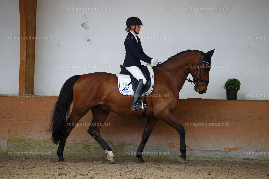 JHE_8505 | JoYa Fotografie - Realisiert mit Pictrs.com