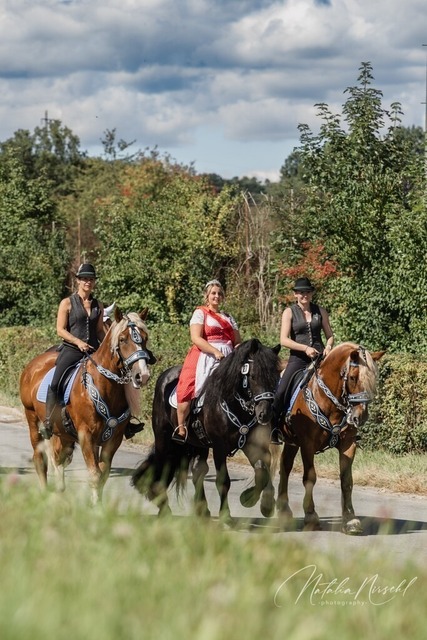 7V6A1350 | natalia-nirschl-photography