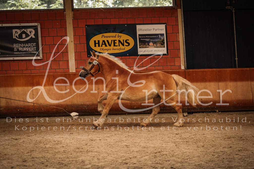 SaFL00210 | Leoni Ertmer Photography - Realisiert mit Pictrs.com