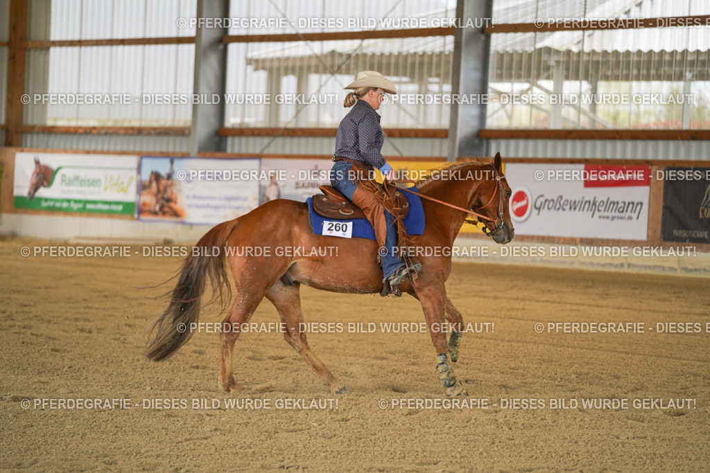 DSC07263 | Pferdegrafie