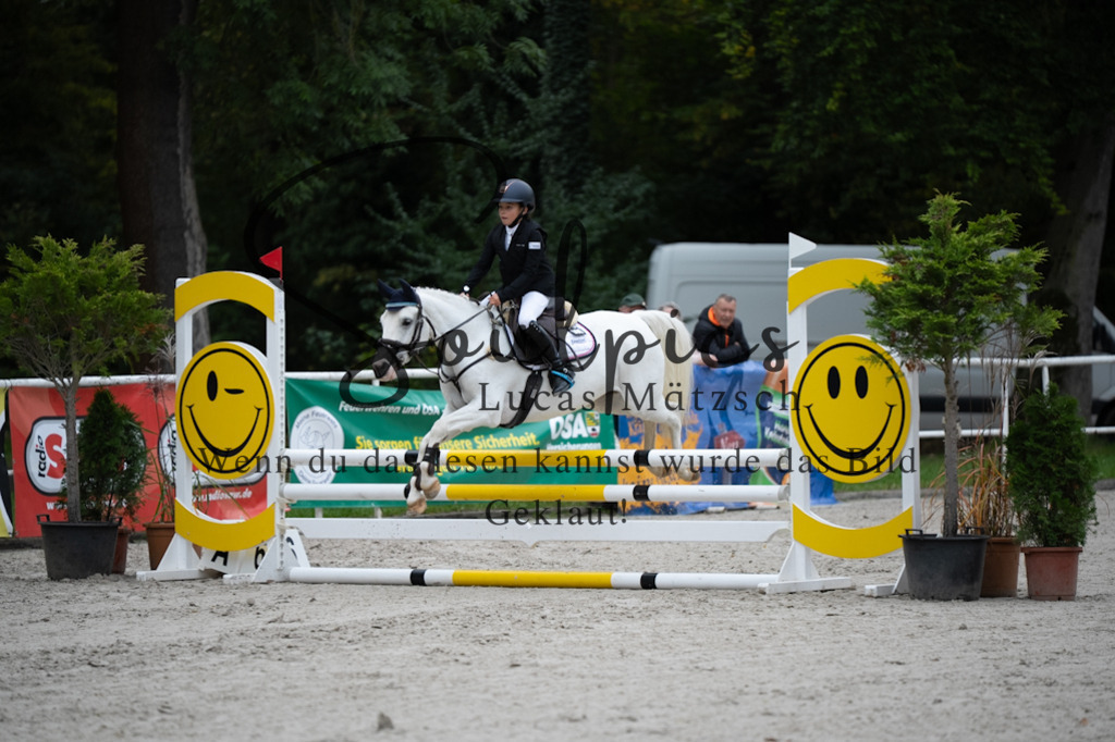 A7V08426 | Pferdefotograf