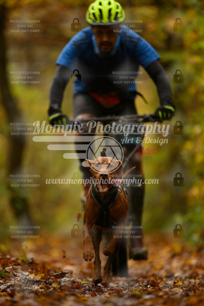 MompixPhotography_CD7S_DI_Bike-33 | mompixphotography