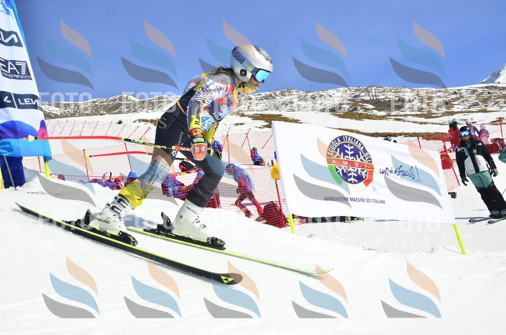 _ELE0074 | holidayphoto