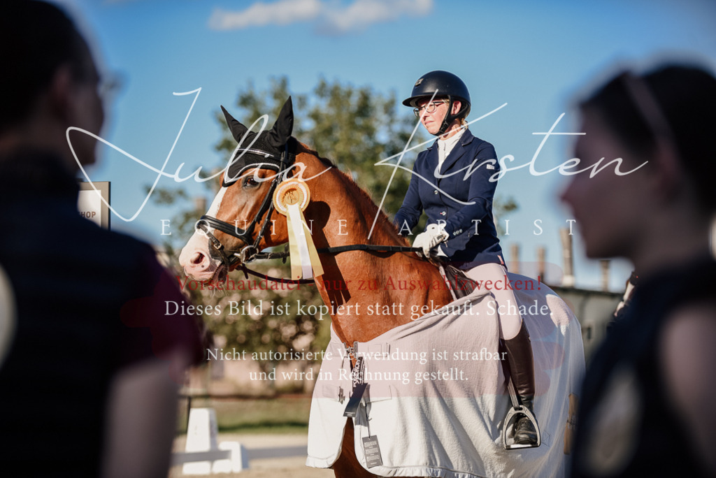 DSC_0718 | Pferde- und Turnierfotografie in Westsachsen. Pferdeportraits, Auftragszeichnungen und intuitive Kunst.