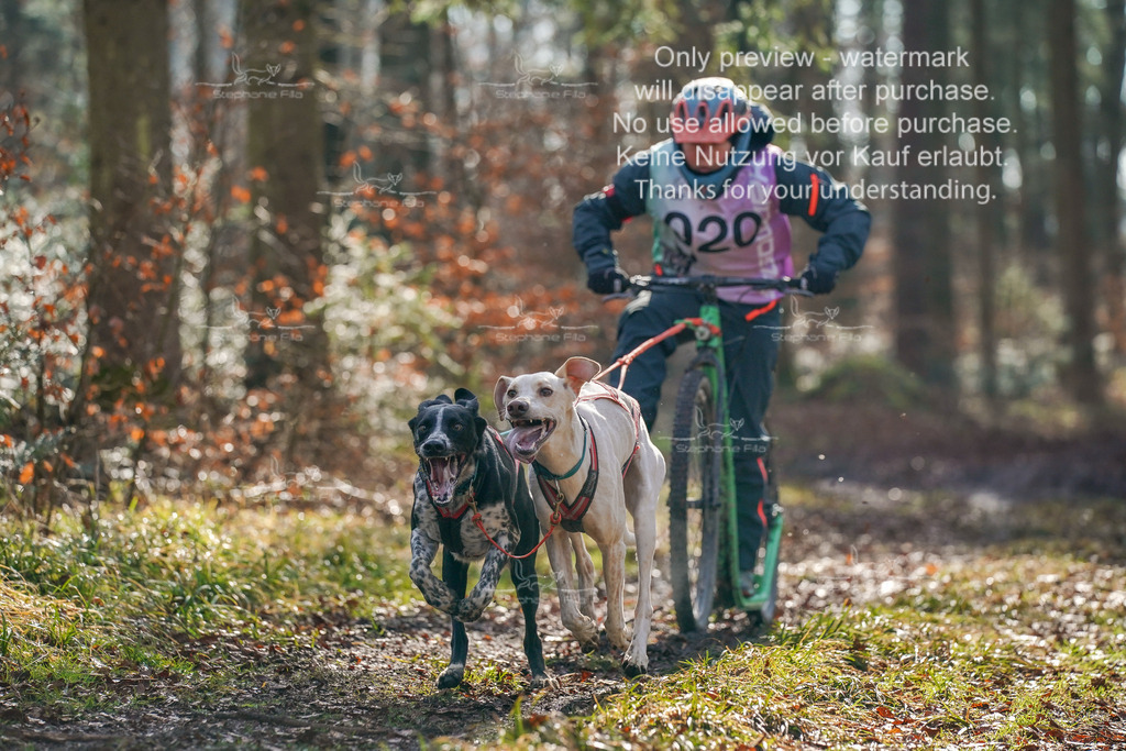 So_Scooter_2-32 | stephaniefillaphotographie - Realisiert mit Pictrs.com