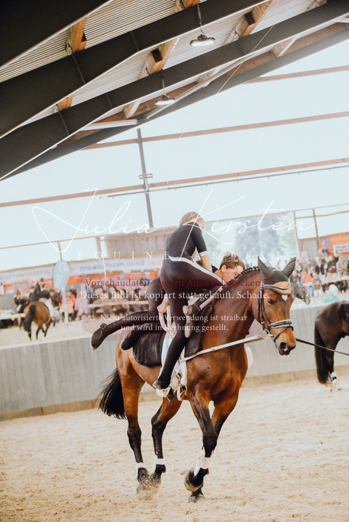 DSC_6923 | Pferde- und Turnierfotografie in Westsachsen. Pferdeportraits, Auftragszeichnungen und intuitive Kunst.