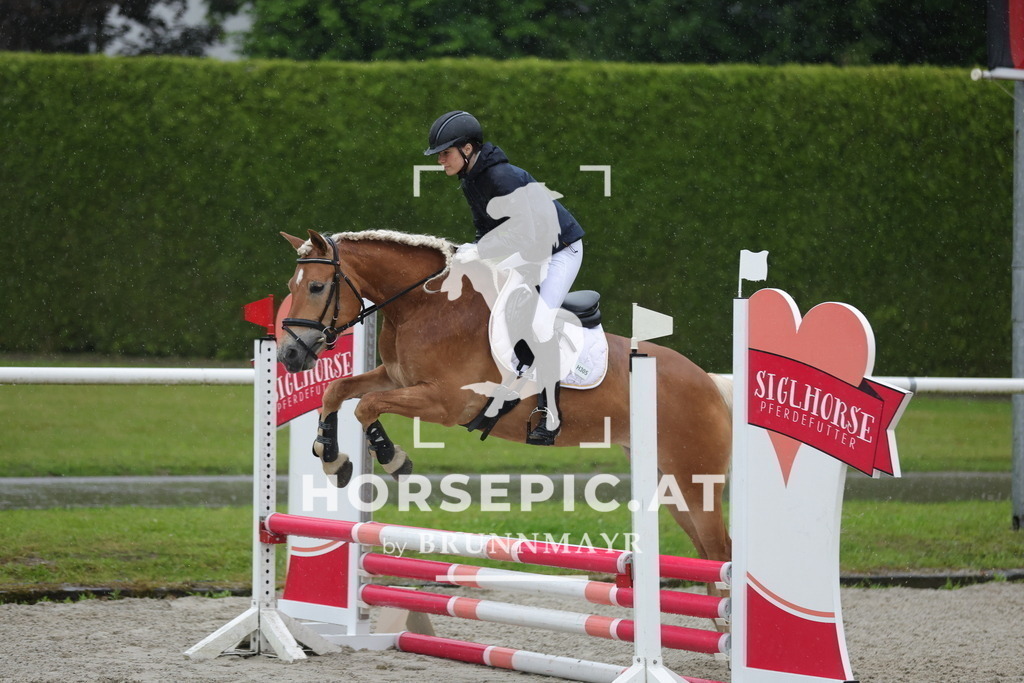 0P6A7629 | Willkommen bei Brunnmayr - Design & Fotografie – Ihrem Spezialisten für Reitturniere und Pferdeveranstaltungen in Oberösterreich, Salzburg und Bayern! Seit über 17 Jahren sind wir leidenschaftlich dabei.