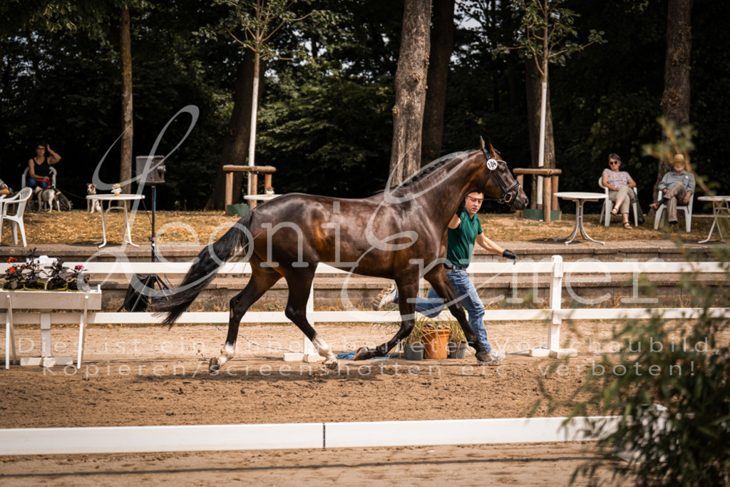 2. Fr00091 | Leoni Ertmer Photography - Realisiert mit Pictrs.com