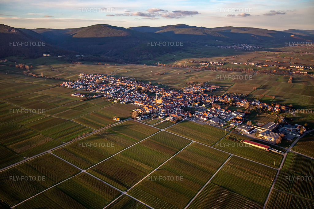 Luftbild: Ortsansicht von Südosten in Rhodt unter Rietburg im Bundesland Rheinland-Pfalz in Deutschland. Foto: IMG_135845.jpg vom 18.01.2023 durch Werner Riehm/FLY-FOTO.deRhodt unter Rietburg - historisch.schön