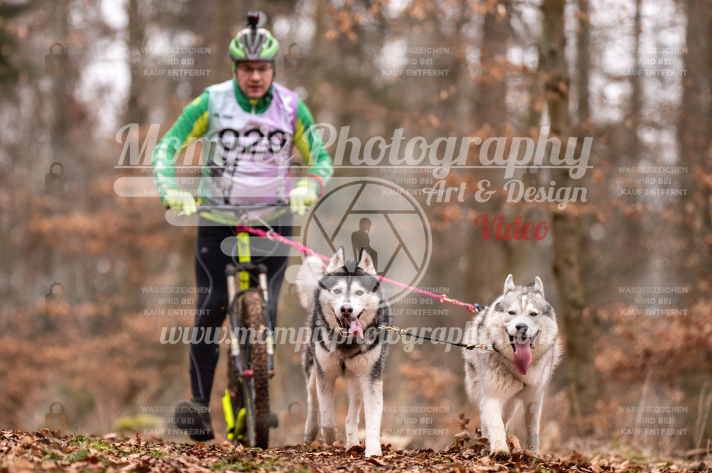 AKM_ST_2023_SAM_DS2-83 | mompixphotography