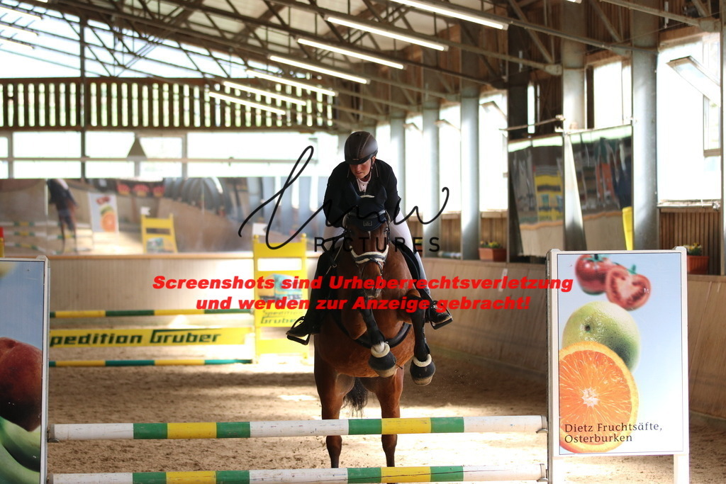 IMG_5321 | lmwpictures - Realisiert mit Pictrs.com