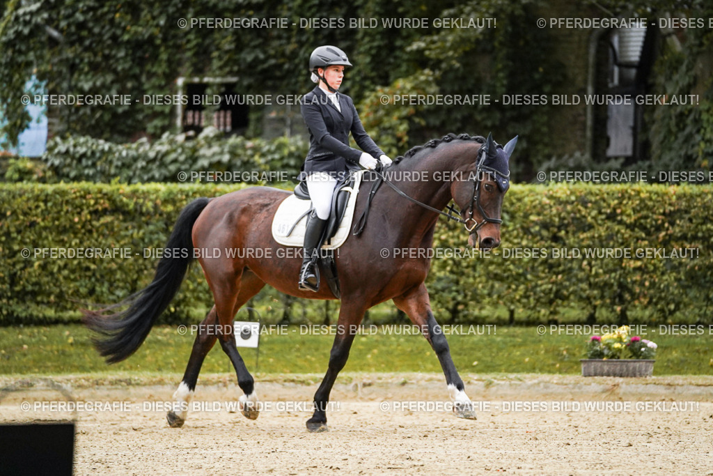 DSC06390 | Pferdegrafie