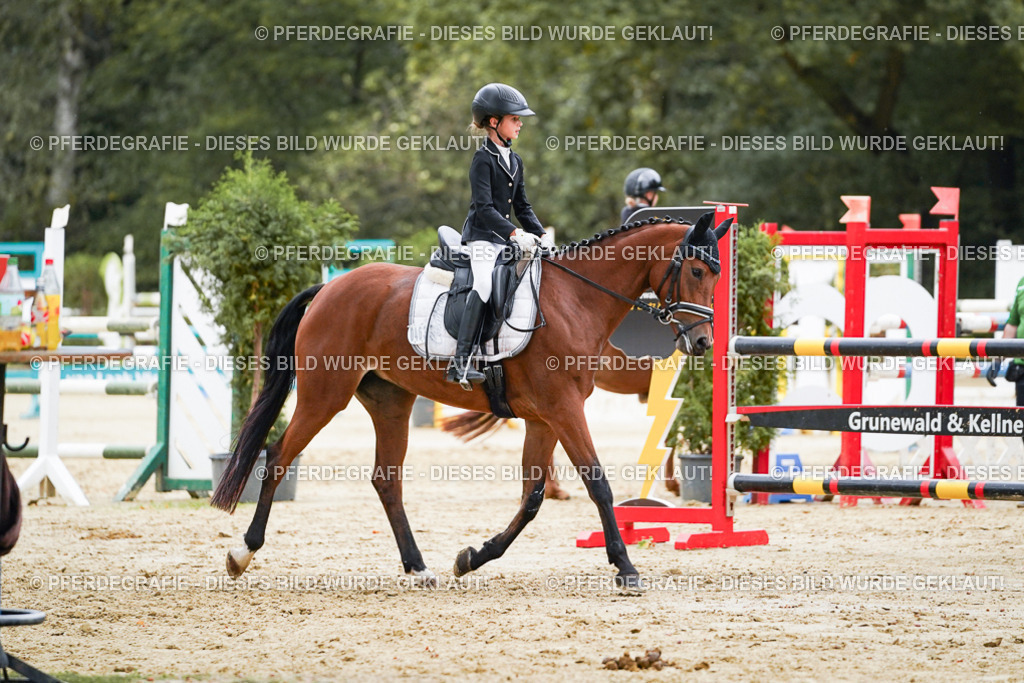 DSC06182 | Pferdegrafie