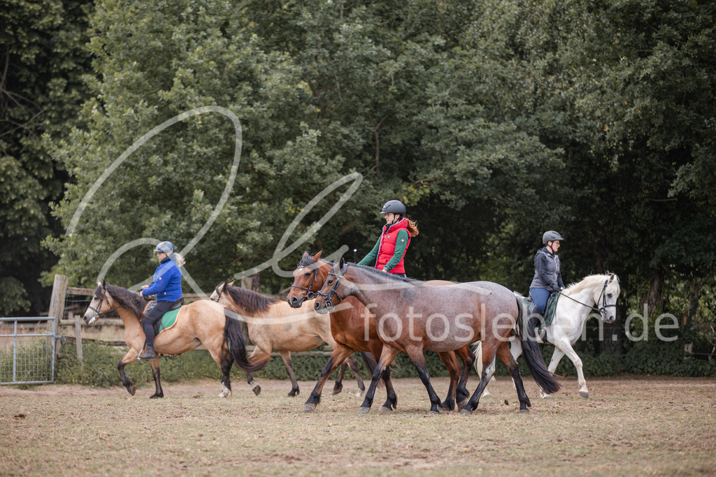 846A0357 | fotosleben - Realisiert mit Pictrs.com