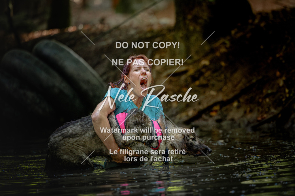nelerasche_SaWingst1600-Ende_216 | nelerasche