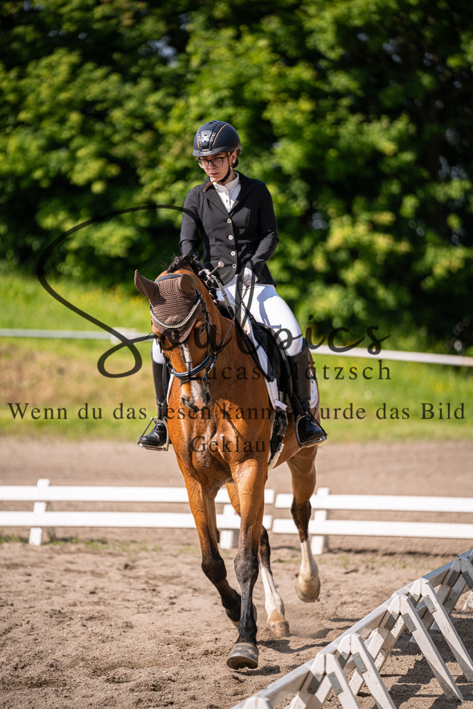 A7V02509 | Pferdefotograf