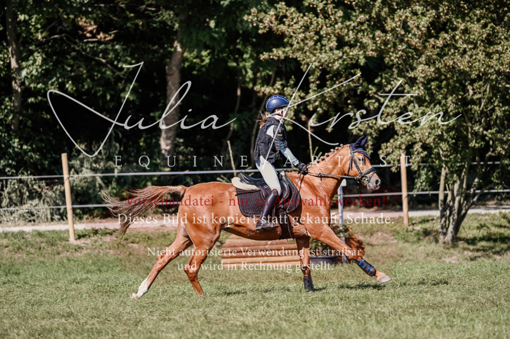 DSC_2980 | Pferde- und Turnierfotografie in Westsachsen. Pferdeportraits, Auftragszeichnungen und intuitive Kunst.