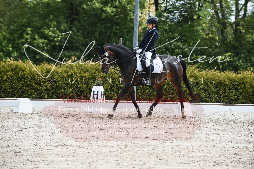 20230518_JK-Röhrsdorf-11-0553 | Pferde- und Turnierfotografie in Westsachsen. Pferdeportraits, Auftragszeichnungen und intuitive Kunst.