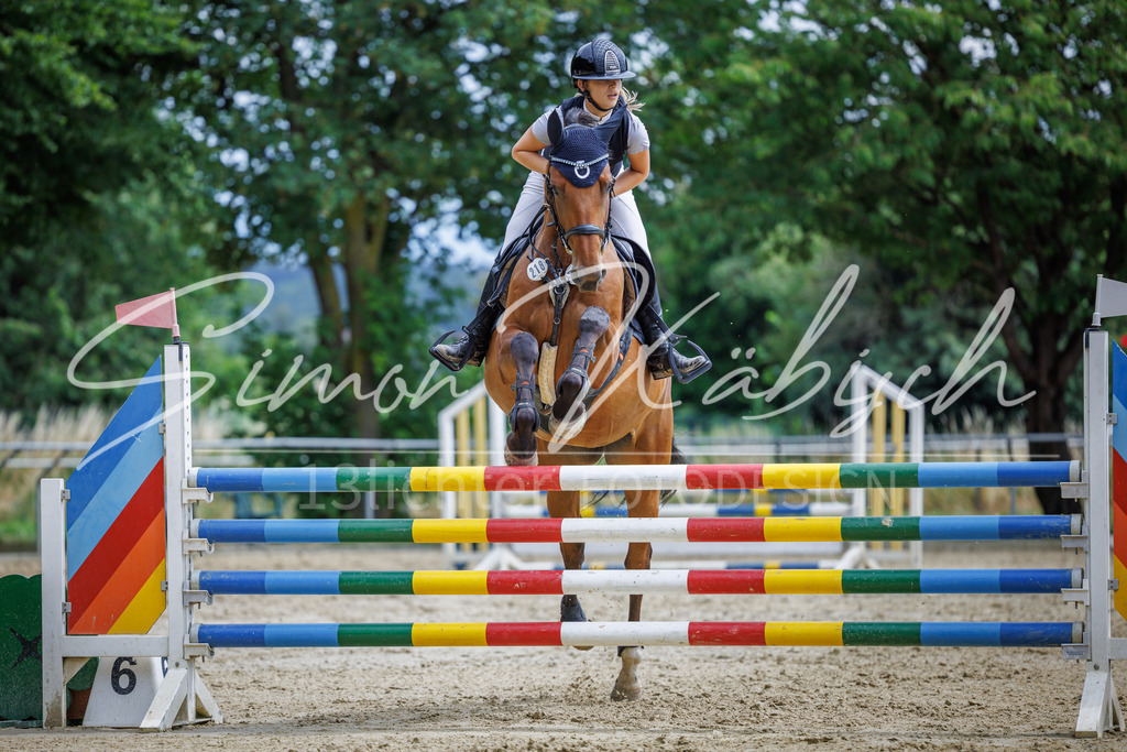 20260705-_3LI6043 | Tierfotografie Pferde, Hunde, Katzen, Haustiere.
Turnierfotografie Reitturniere, Reiten, Springreiten, Dressur in Hanau, dem Main-Kinzig-Kreis und dem Rhein-Main- Gebiet um Frankfurt