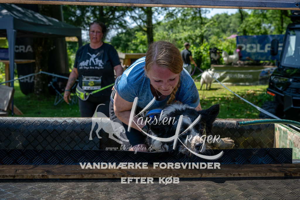 1245_ZZ92172 | kk-dogfotos