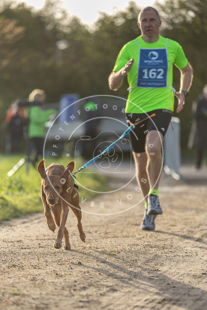 Pfotenfotografie.de_DV3A2690 | Hundefotografie, Tierfotograf, Pfotenfotografie, Fotoshooting Hund, Hunde Portrait, Hundesport, Hundeportraits, Heideshooting, Hunde, Sportfotograf, Hundefotograf, Turnierhundsport, THS, canicross - Realisiert mit Pictrs.com