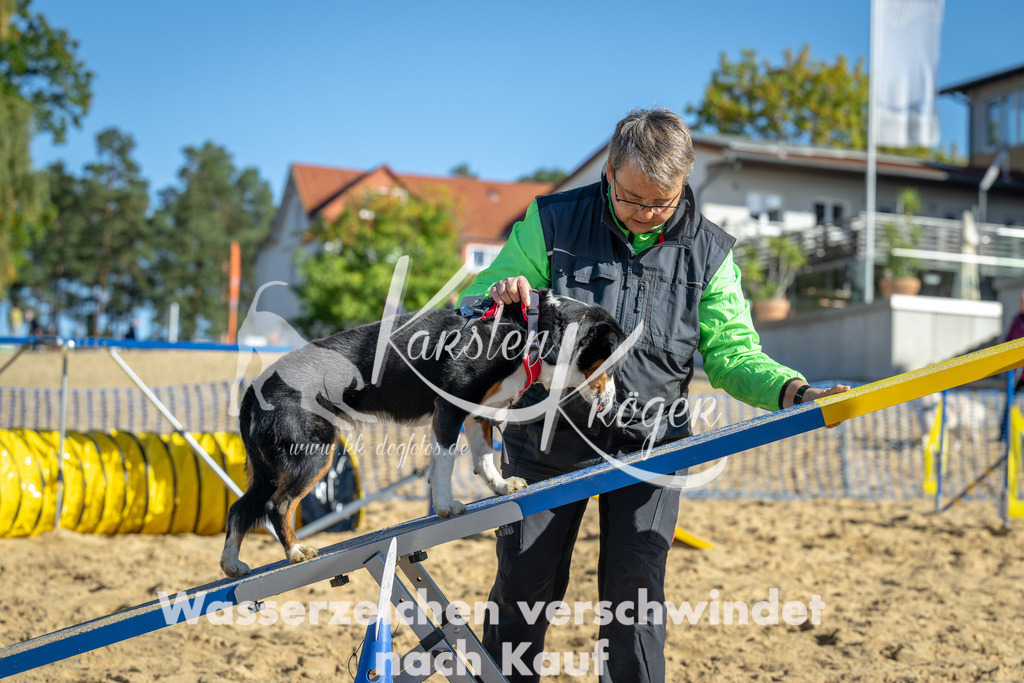 1126_ZZ91198 | kk-dogfotos