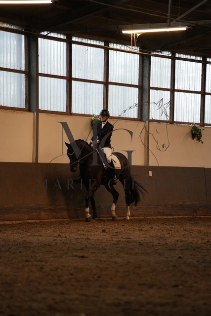 DSC05324 | Pferdefotografie in Köln und Umgebung – emotionale Pferdeshootings, Turnierfotografie und besondere Momente zwischen Pferd und Mensch. - Realisiert mit Pictrs.com