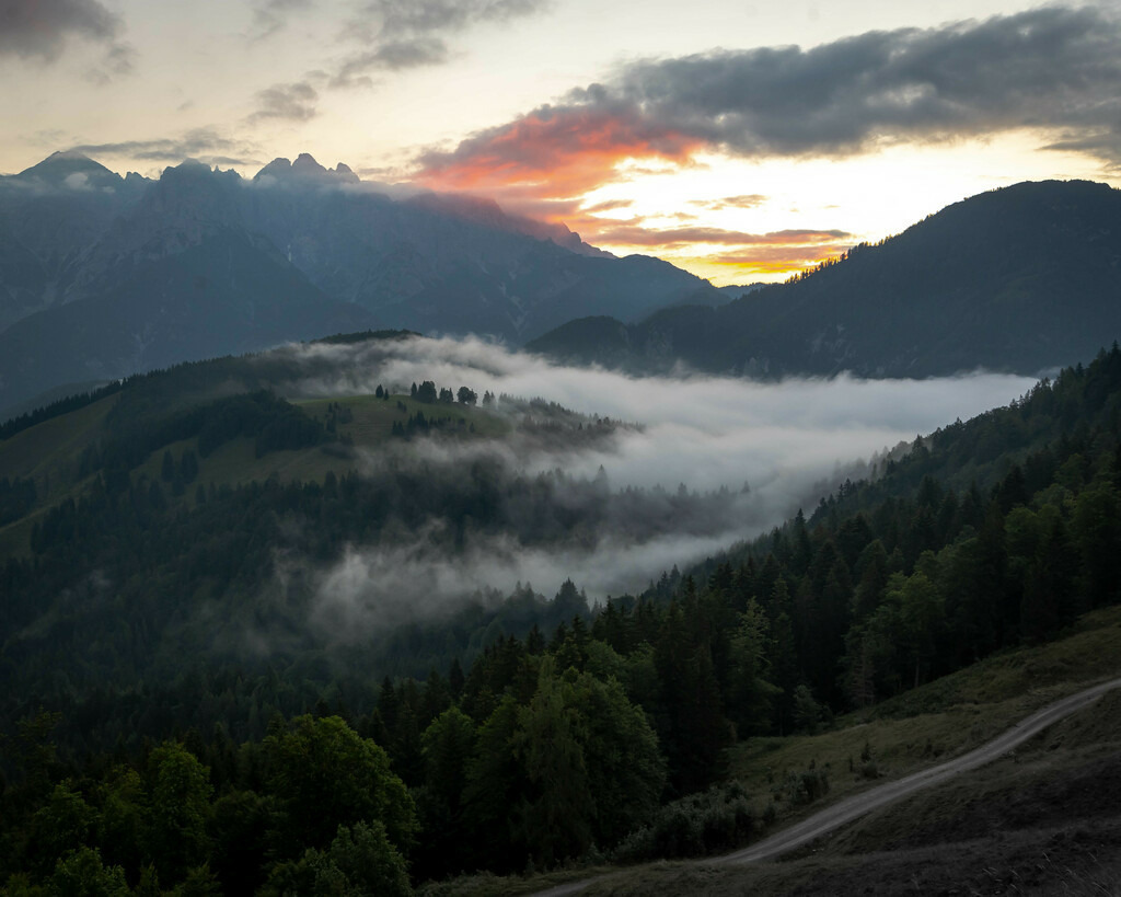 _W5A1411 | Sich an die einzigartigen Momente der Natur und Landschaft sowie die Begegnung mit heimischen wilden Tieren zu erinnern, dies kann man anhand den Bilder der Natur und Landschaftsfotografin Sandra Eimermacher.  - Realisiert mit Pictrs.com