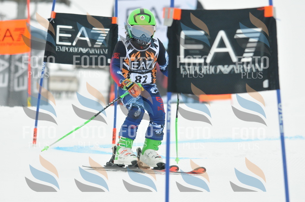 DSC_7917 | holidayphoto