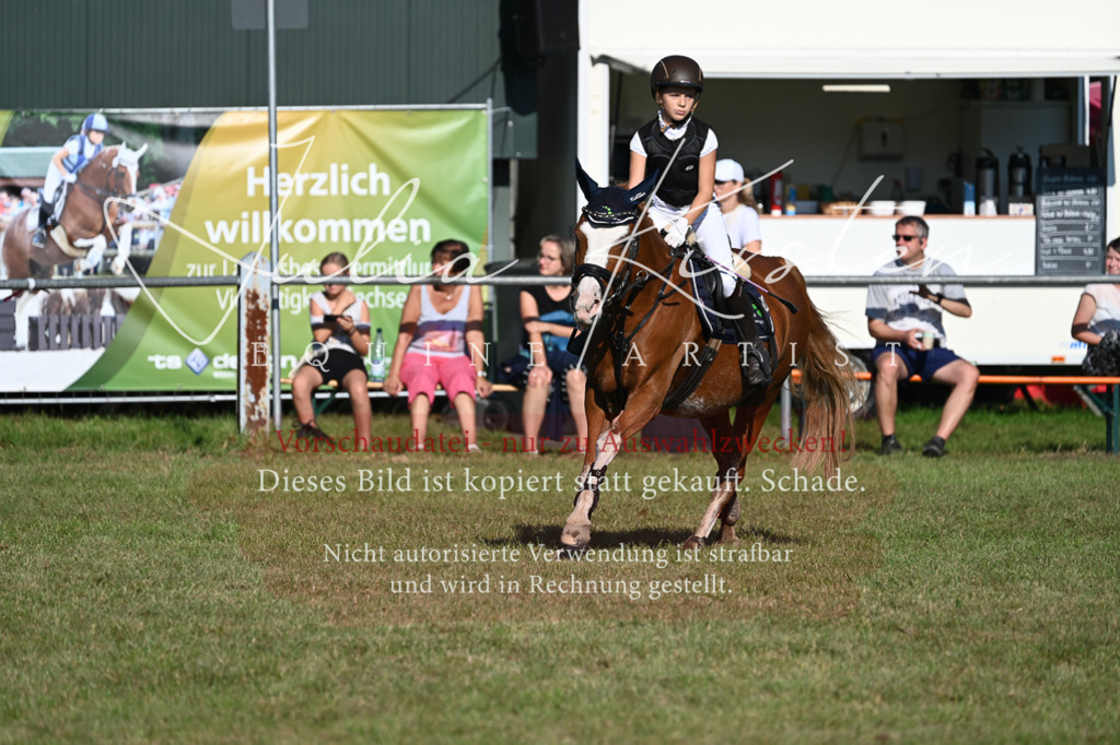DSC_4969 | Pferde- und Turnierfotografie in Westsachsen. Pferdeportraits, Auftragszeichnungen und intuitive Kunst.