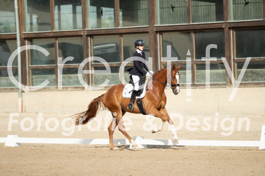 IMG_0652 | Creatify Fotografie