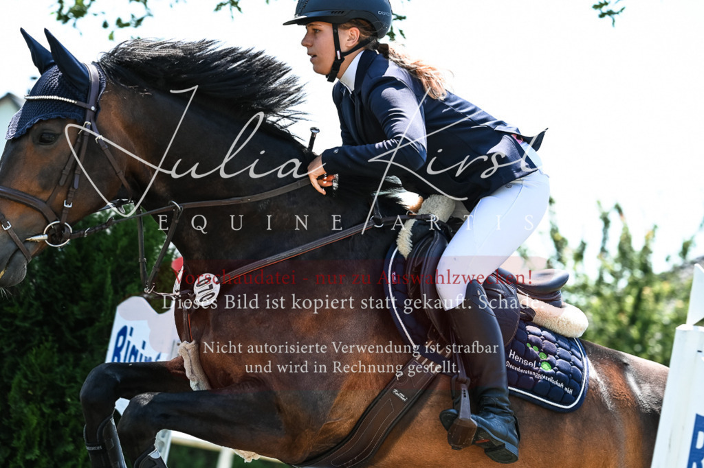 DSC_0115 | Pferde- und Turnierfotografie in Westsachsen. Pferdeportraits, Auftragszeichnungen und intuitive Kunst.
