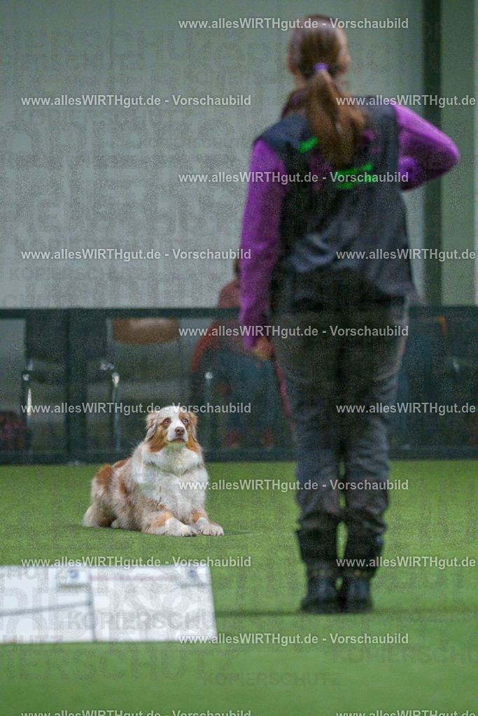 7R503887 | Professionelle Tierfotografie in Mönchengladbach von Daniel Wirth (allesWIRTHgut). Liebevolle & natürliche Bilder von Hunden & Katzen für unvergessliche Erinnerungen.