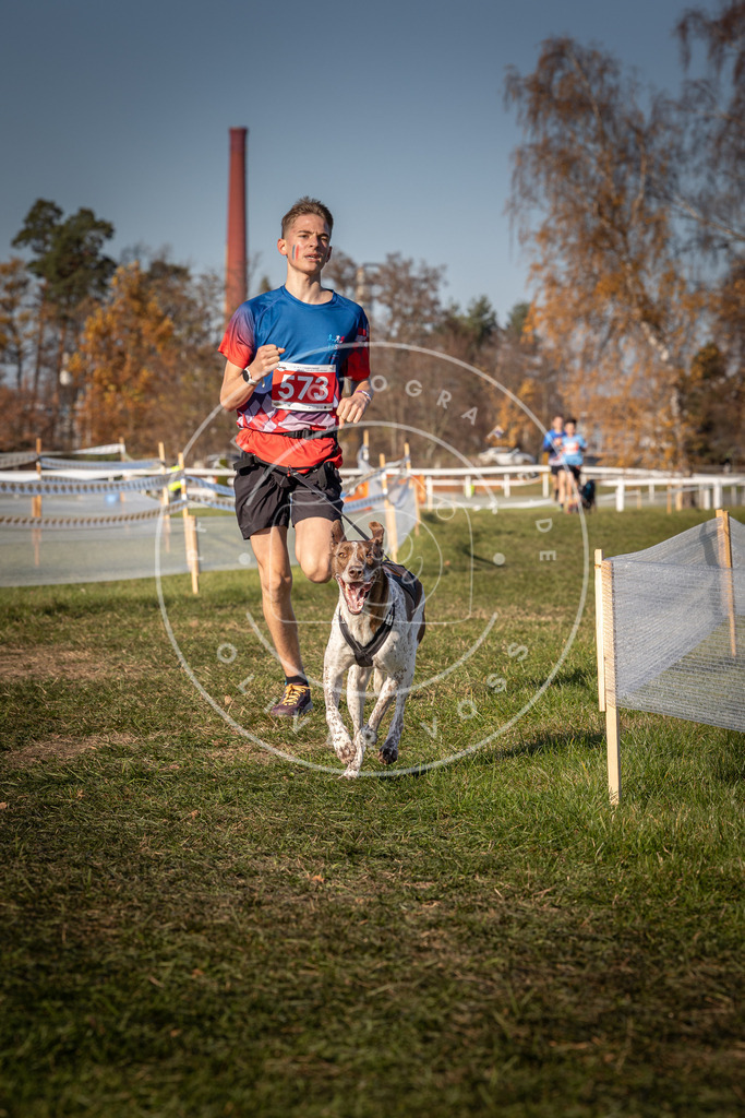 CaniXpix_0L8A8037 | Hundefotografie, Tierfotograf, Pfotenfotografie, Fotoshooting Hund, Hunde Portrait, Hundesport, Hundeportraits, Heideshooting, Hunde, Sportfotograf, Hundefotograf, Turnierhundsport, THS,  - Realisiert mit Pictrs.com