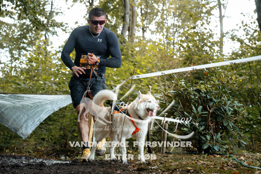 1410DZ6_1231Z6 | kk-dogfotos