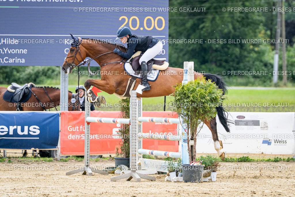 DSC05149 | Pferdegrafie